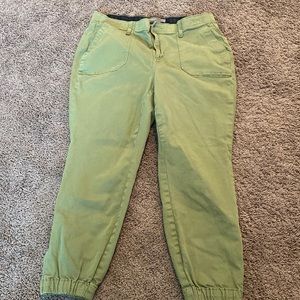 Size 14R torrid jogger pant